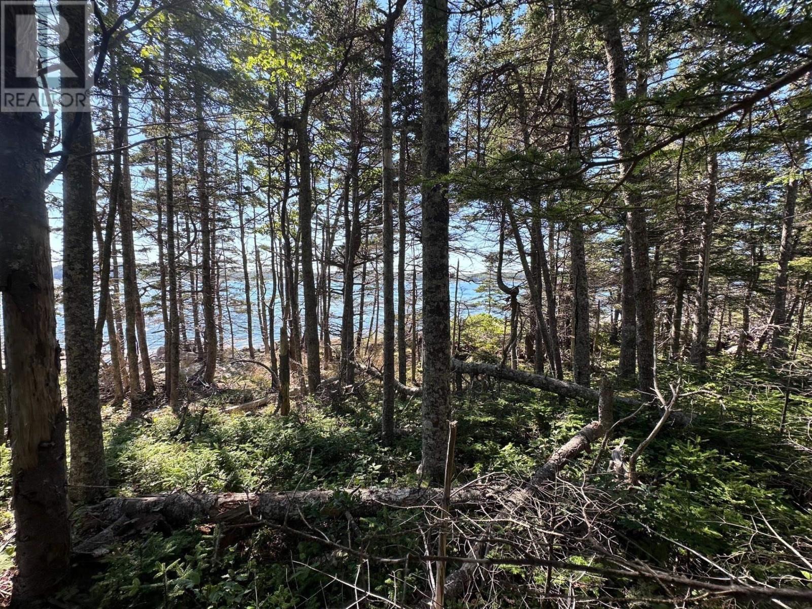 Property 8 of 14 of Lot 3 Stewarts Point Road