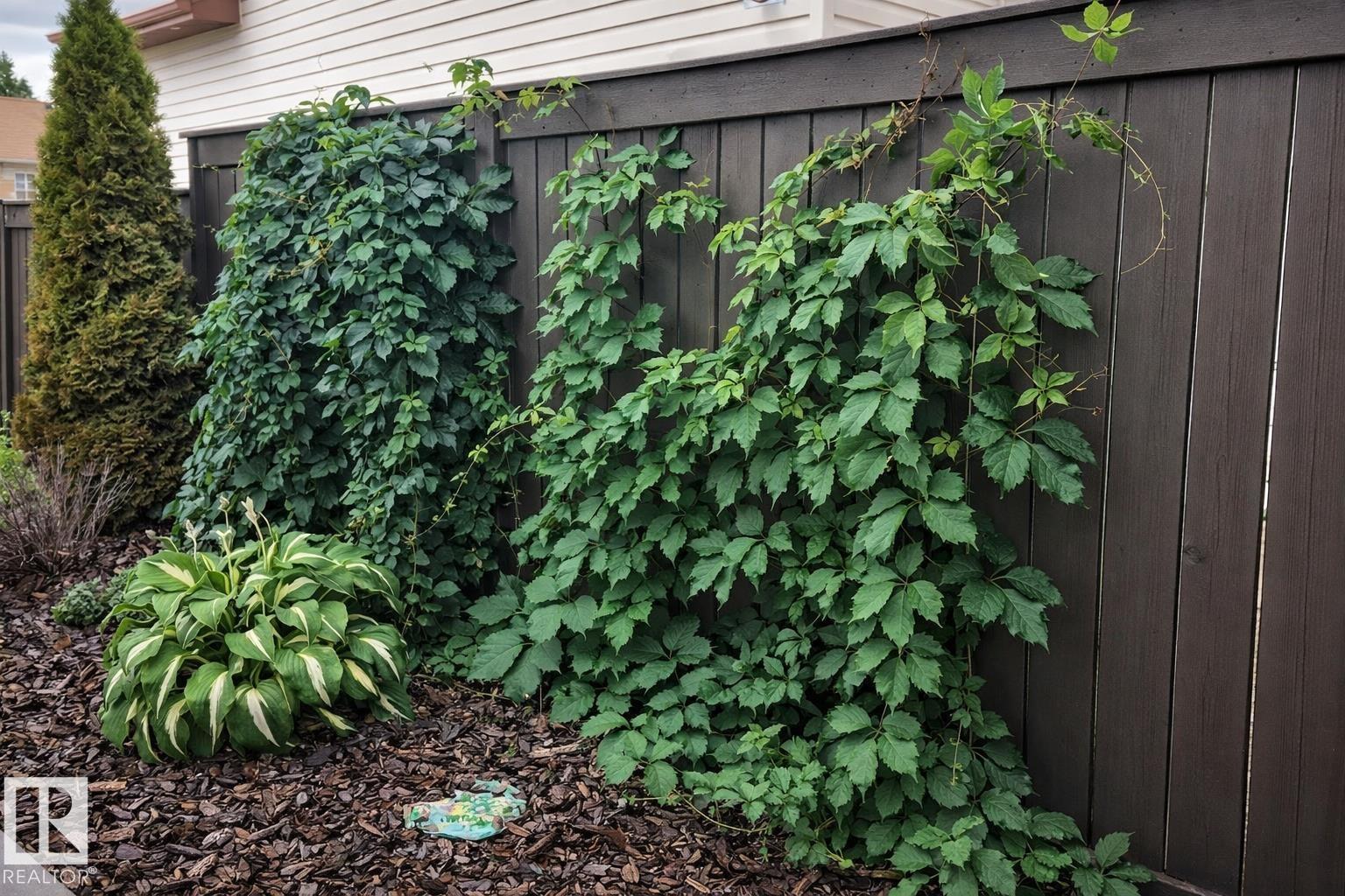 
          2011 7 AV
            <br/>
            <span>Cold Lake</span>
            , 
            <span>AB</span>
             <span>T9M2B7</span>
         - Photo 22