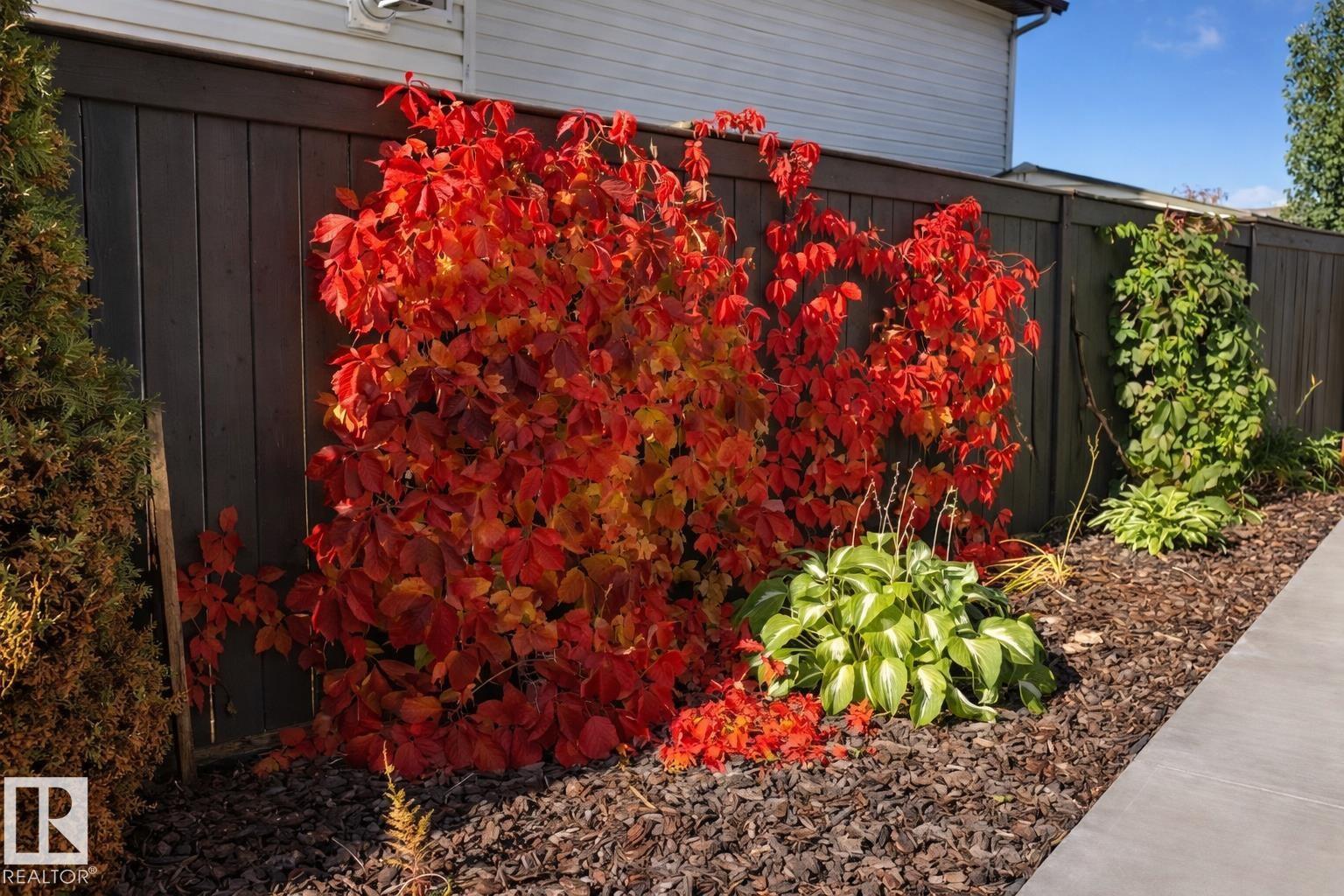 
          2011 7 AV
            <br/>
            <span>Cold Lake</span>
            , 
            <span>AB</span>
             <span>T9M2B7</span>
         - Photo 15