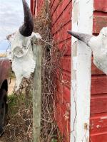 76152 16 Path, Arden, MB R0J1B0 Photo 38