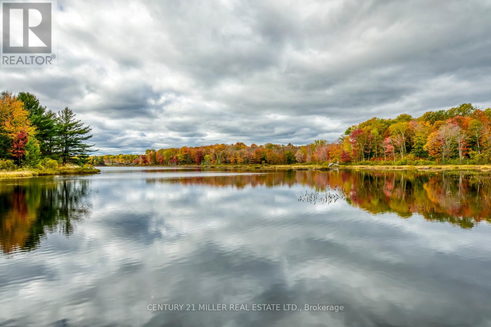 #6 4805 MUSKOKA DISTRICT 169 ROAD - 49