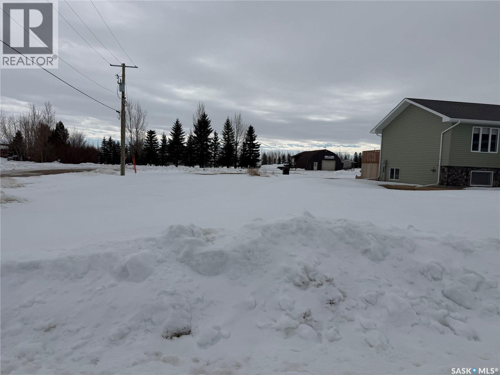 202 Willow CRESCENT - photo 2