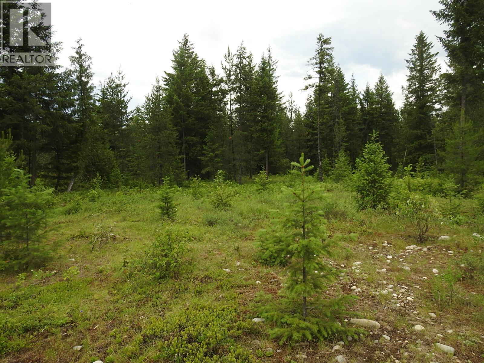 9700 Hwy 6, Edgewood