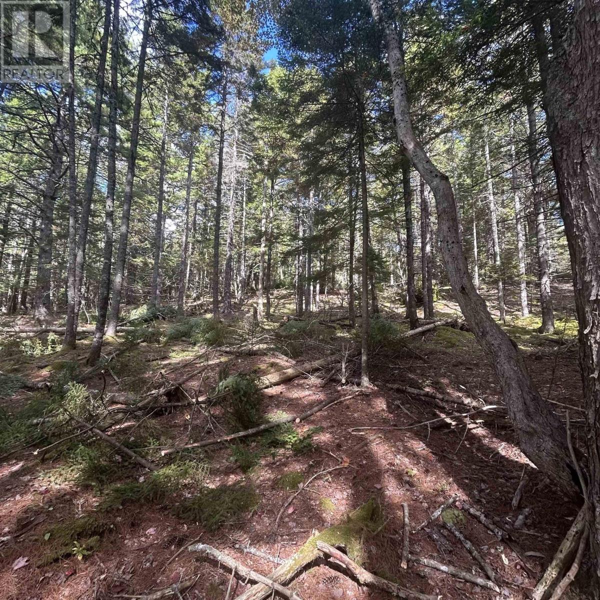 Property 4 of 8 of Lot 25-3 Conquerall Mills Road