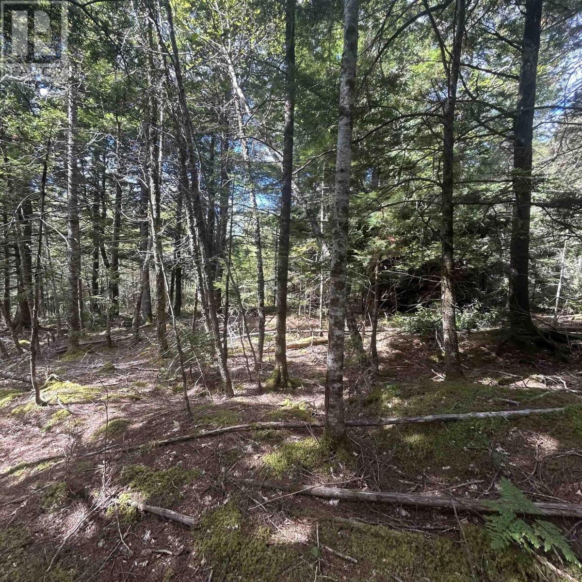 Property 8 of 8 of Lot 25-2 Conquerall Mills Road