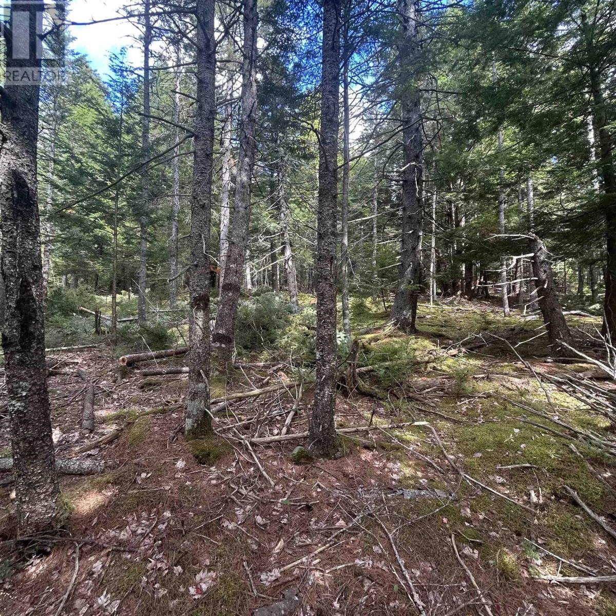 Property 4 of 8 of Lot 25-2 Conquerall Mills Road