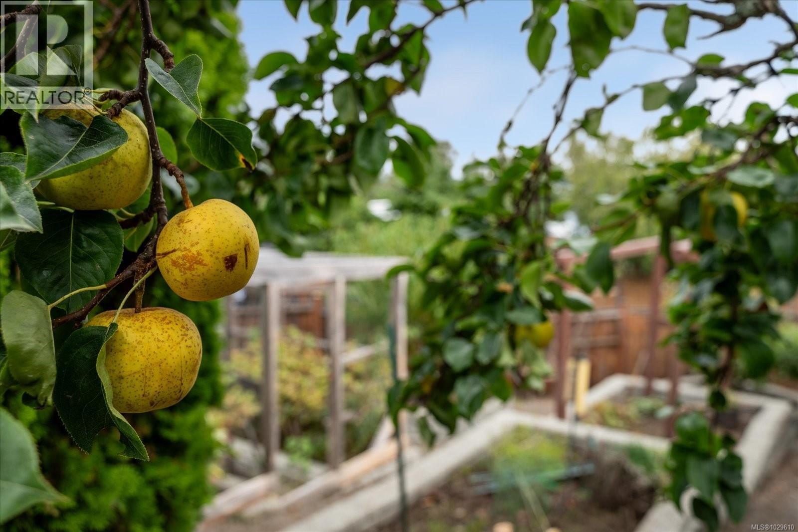 4040 GULFVIEW DR - 60