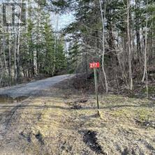 297 NICKEL LAKE SHORES ROAD - 10