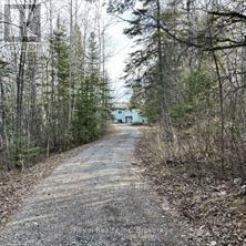 297 NICKEL LAKE SHORES ROAD - 9