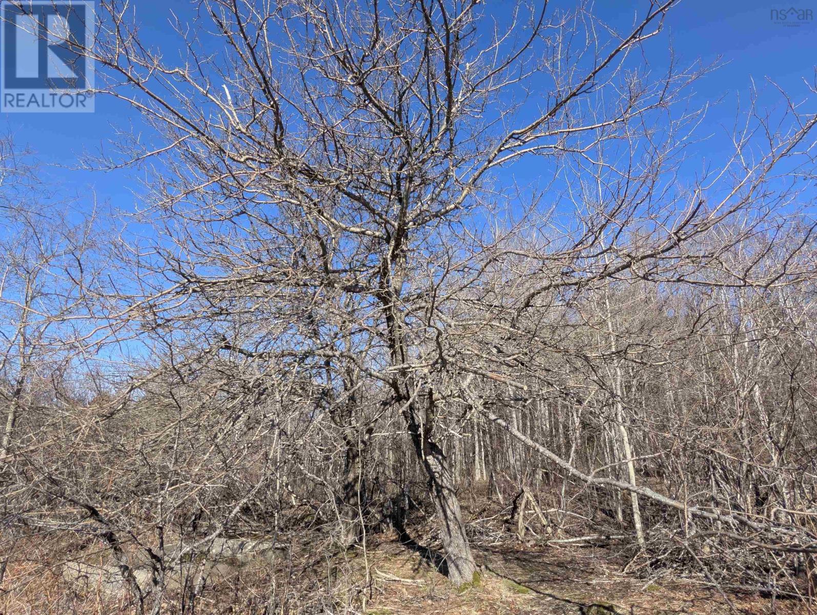 Property 14 of 14 of 2853 Clementsvale