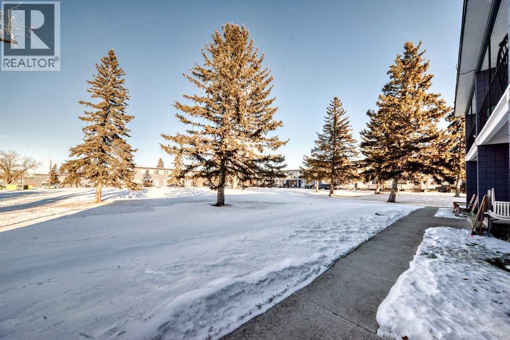 Single Family House for Sale in    Street NE Vista Heights Calgary 