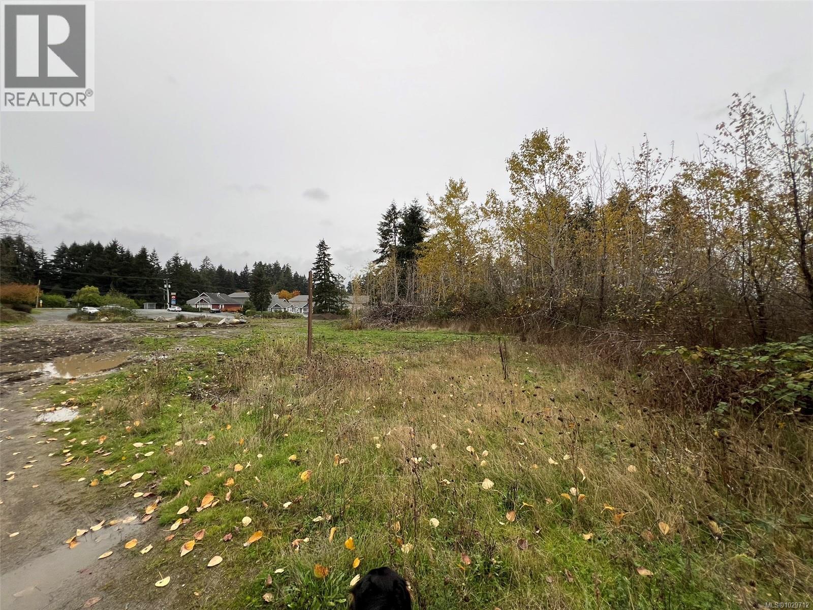 1825 Nairne Road - photo 2