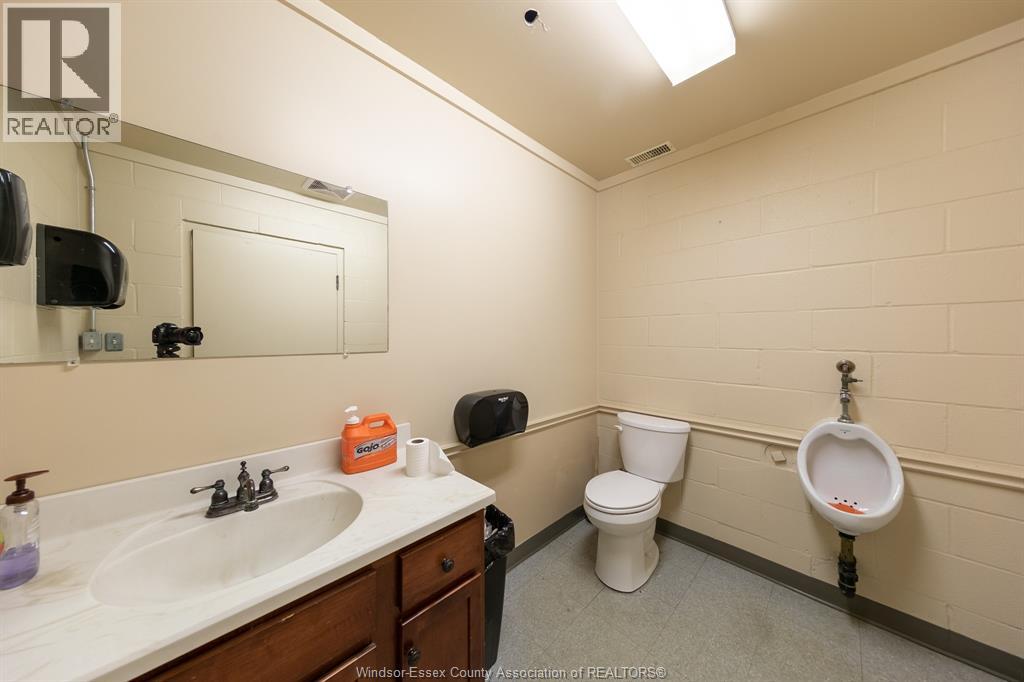 261 SHEPHERD — photo 28