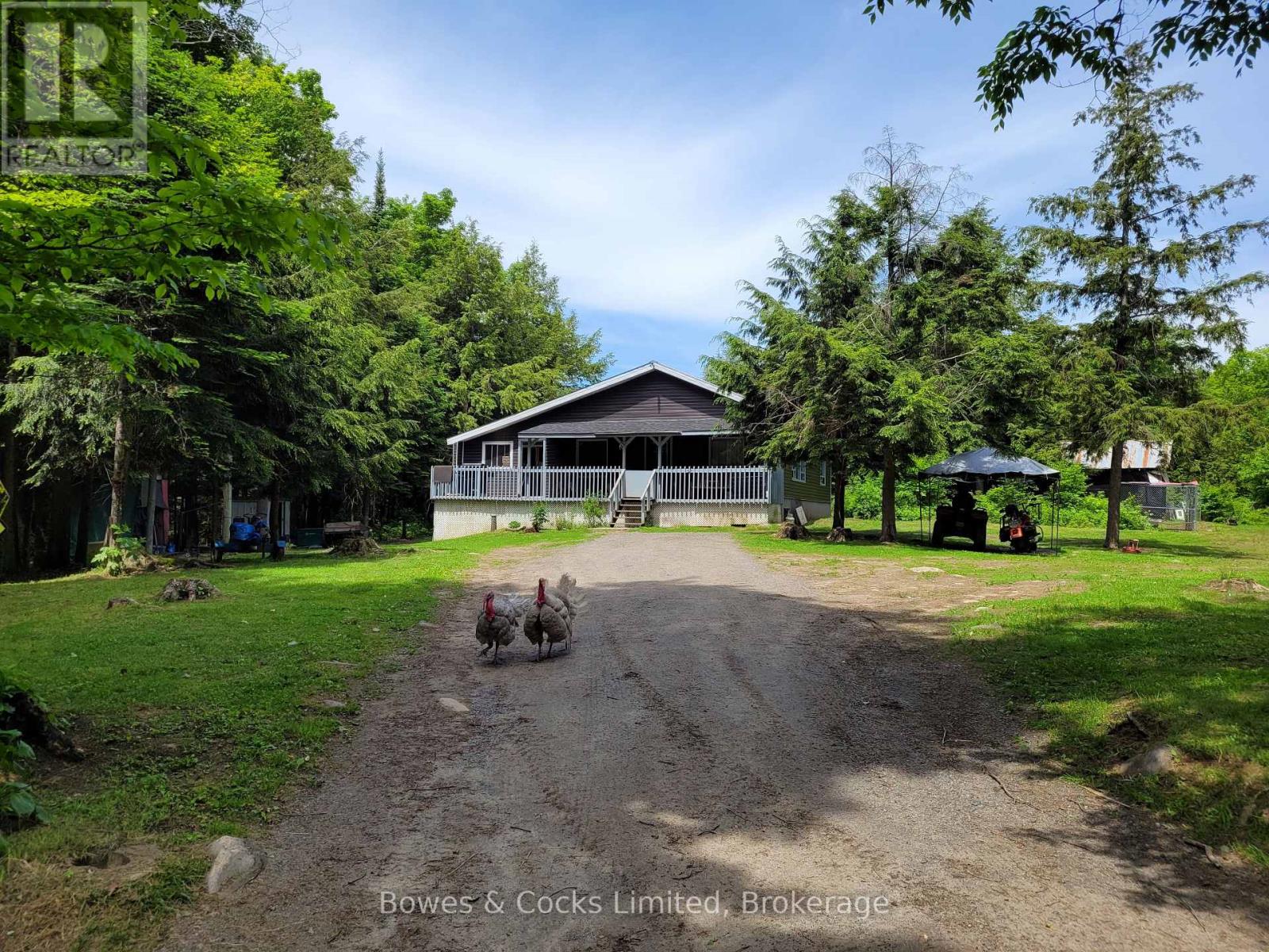 246 HICKEY TRAIL - 1