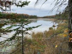 246 HICKEY TRAIL - 14