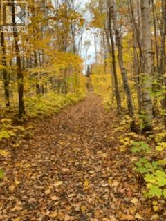 246 HICKEY TRAIL - 16