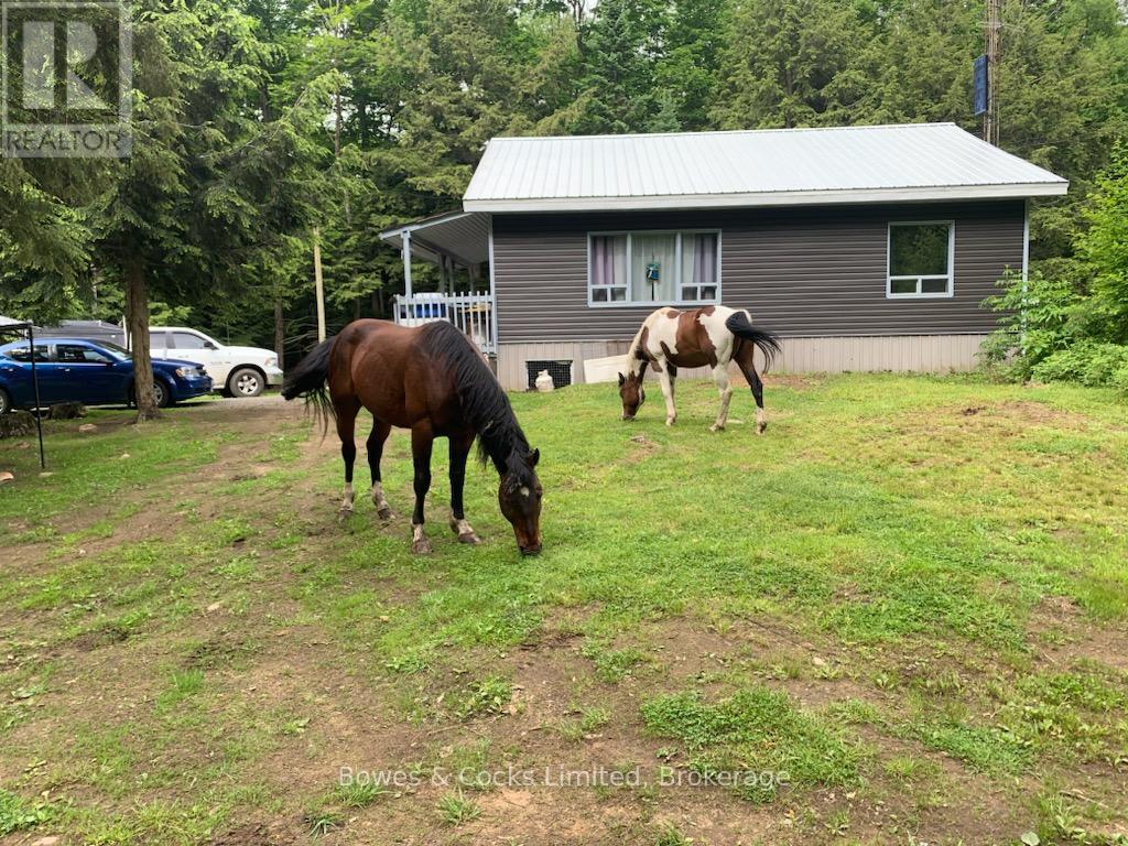 246 HICKEY TRAIL - 17