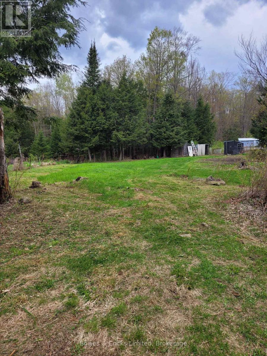246 HICKEY TRAIL - 3