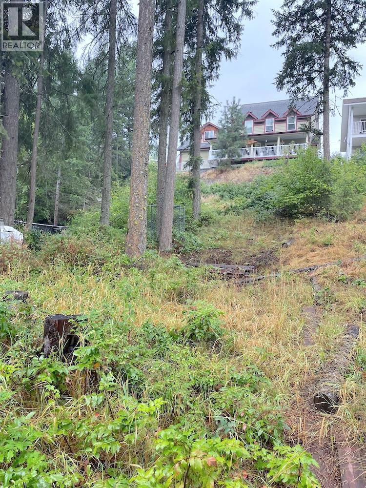 94 Chase Road, Christina Lake