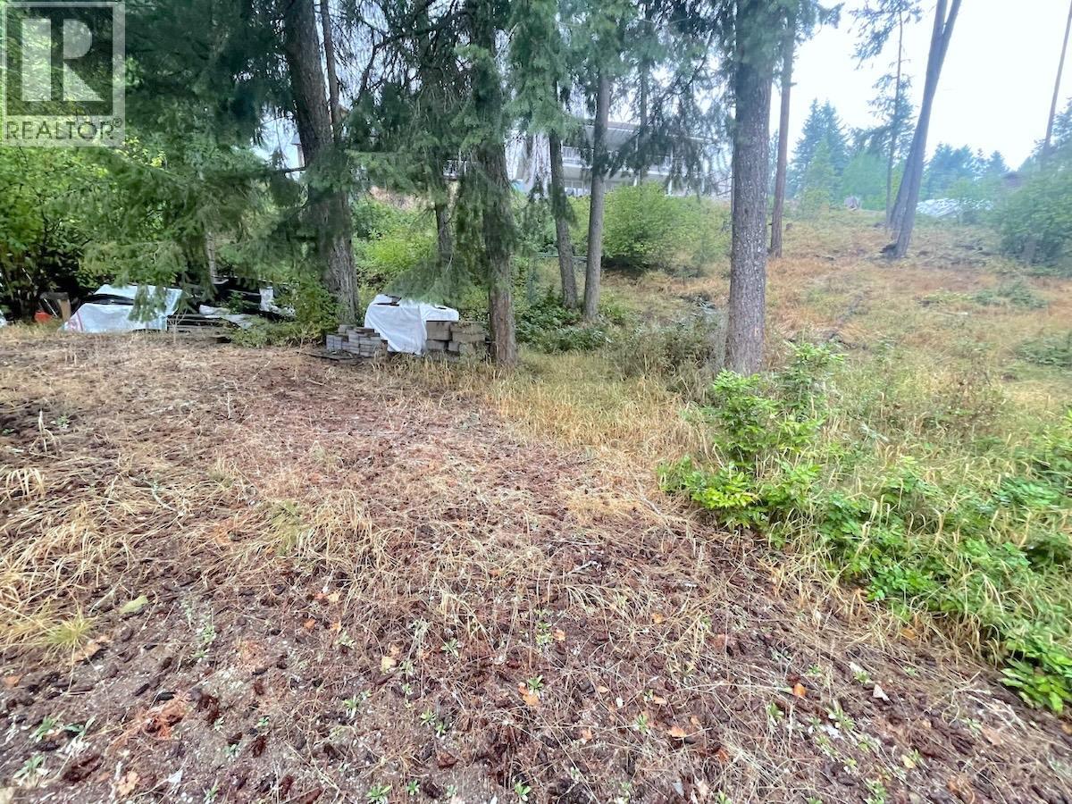 94 Chase Road, Christina Lake