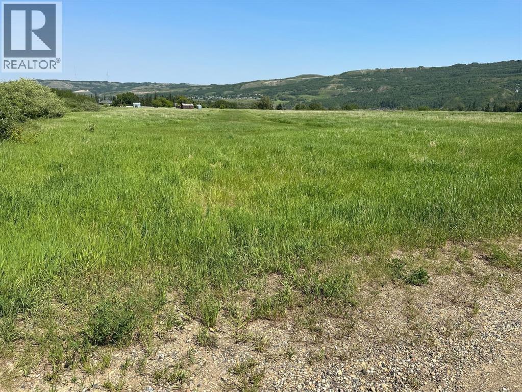 Agriculture for Sale in On River Lot  East of Highway  Shaftsbury Trail Highway Rosedale Peace River 