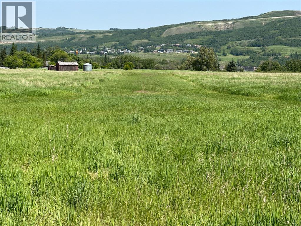 Agriculture for Sale in On River Lot  East of Highway  Shaftsbury Trail Highway Rosedale Peace River 