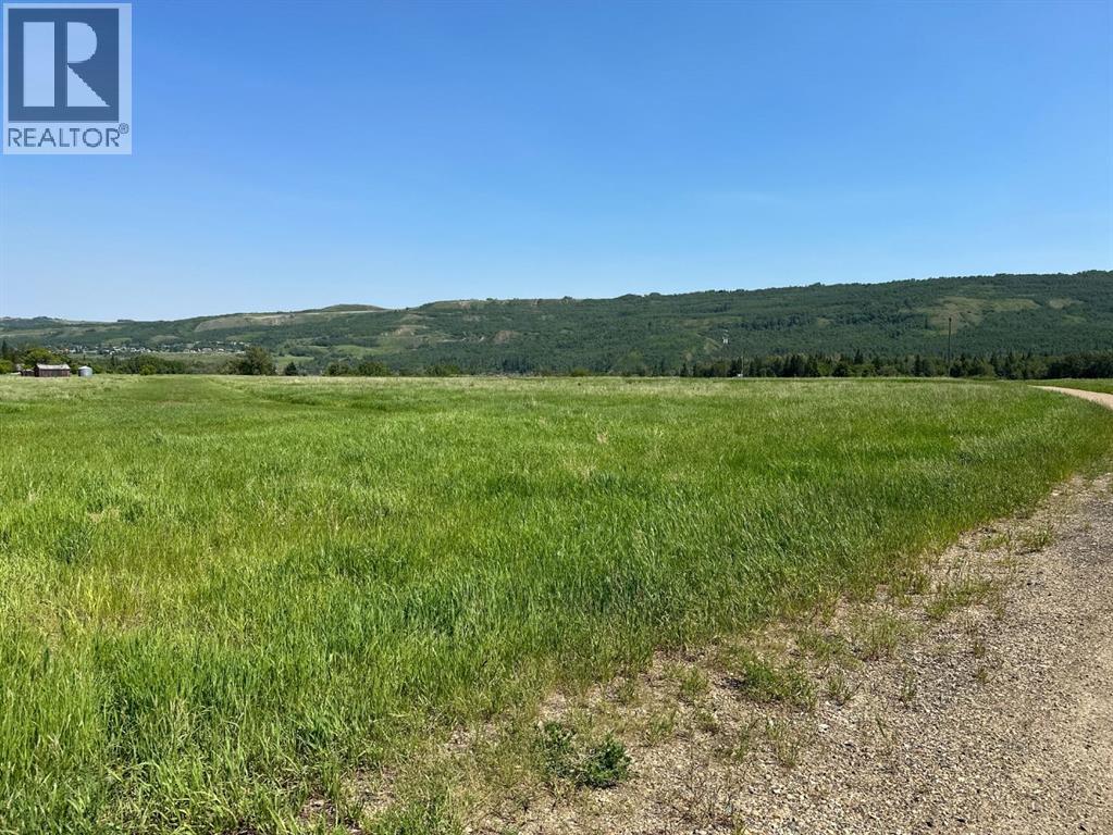 Agriculture for Sale in On River Lot  East of Highway  Shaftsbury Trail Highway Rosedale Peace River 