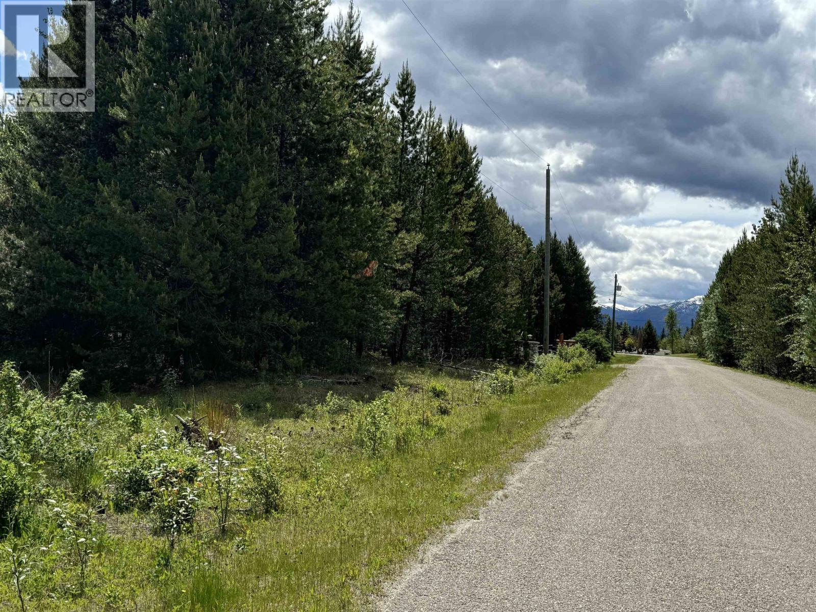LOT 2 STARVIEW ROAD, Valemount — photo 3