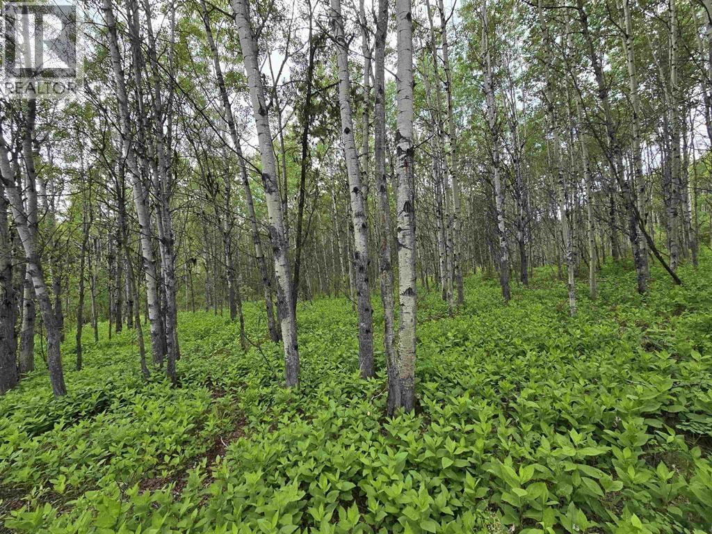 7790 LITTLE FORT 24 HIGHWAY - 16