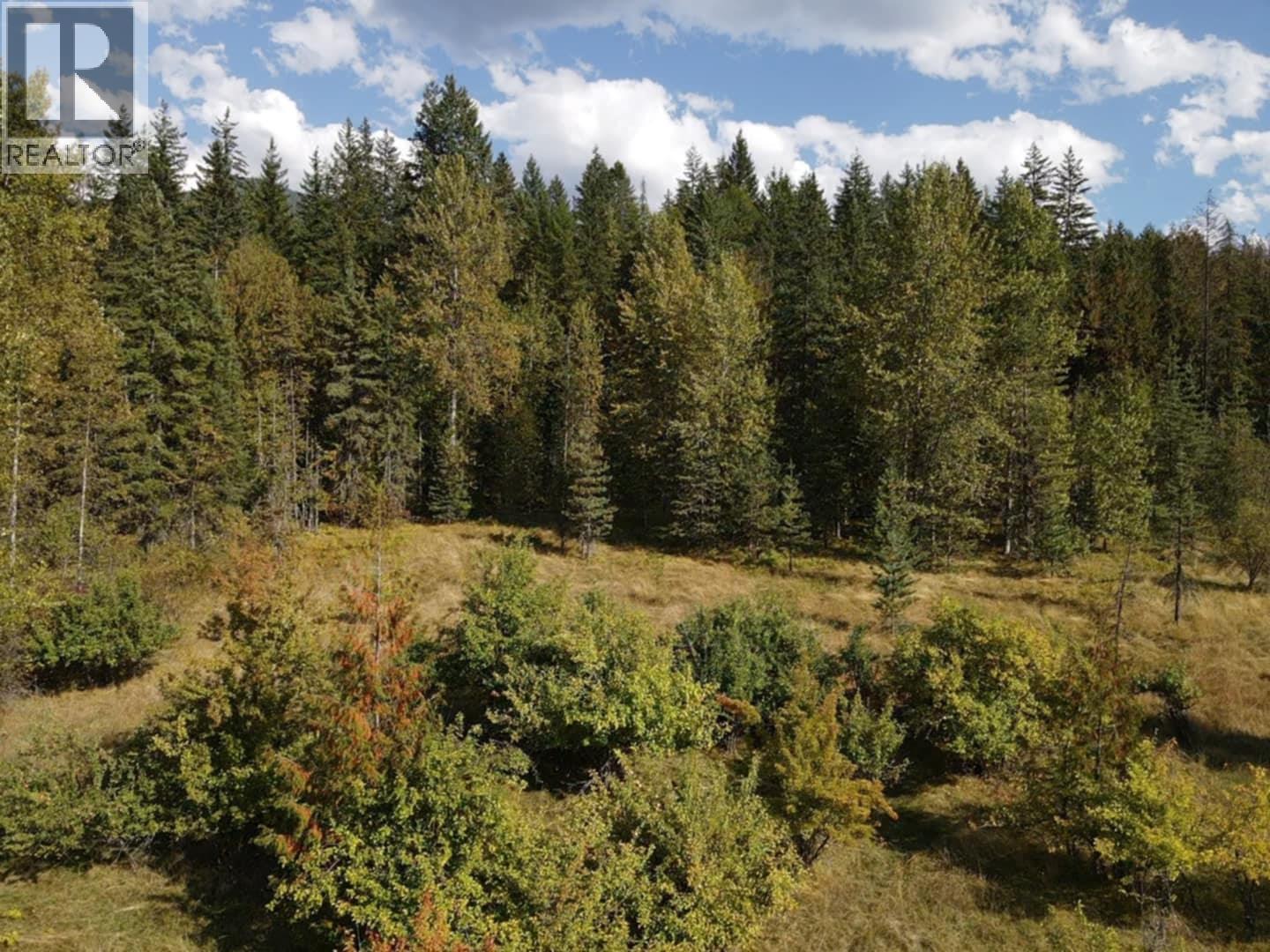 Lot 4 Alexander Road, Nakusp