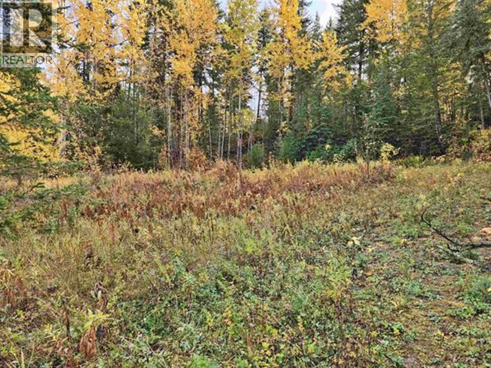 1892 JASPER STREET, Quesnel