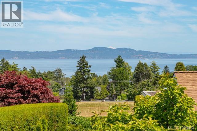 4405 MOONLIGHT LANE - 32