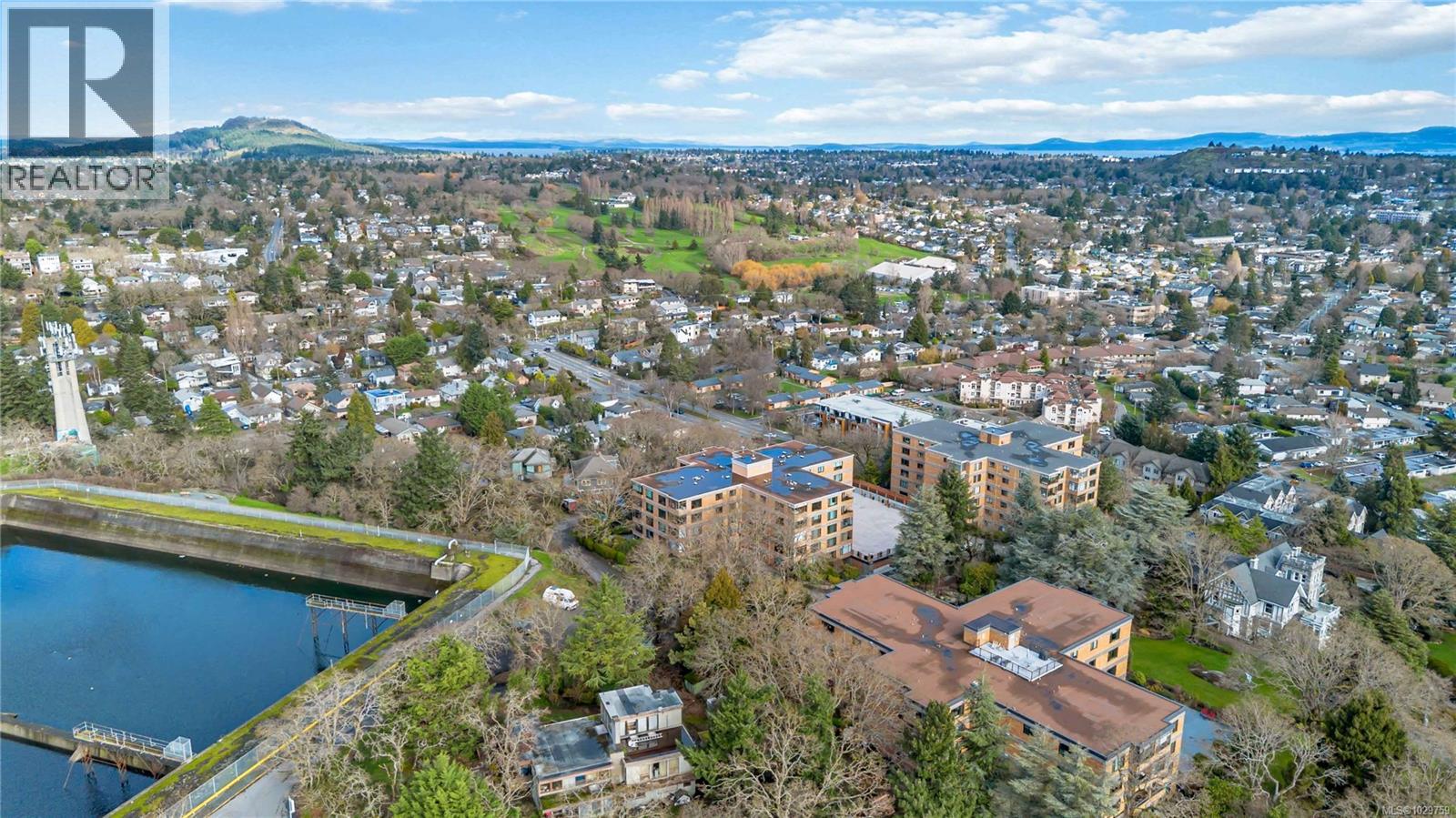 #501 2920 COOK ST - 4