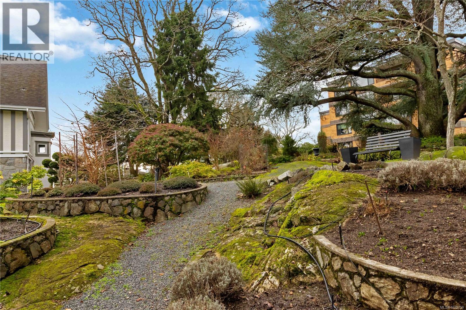 #501 2920 COOK ST - 46