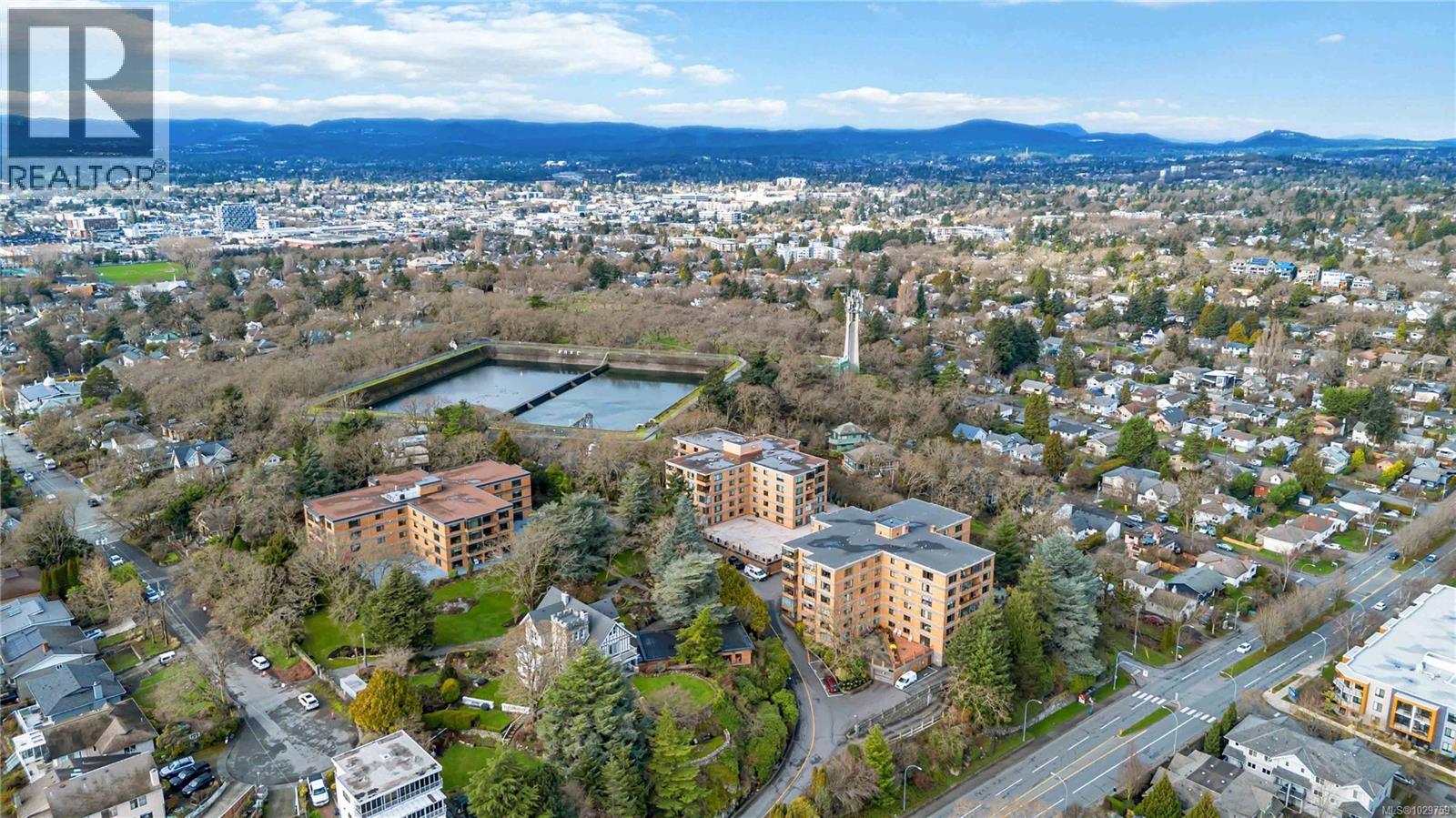 #501 2920 COOK ST - 52