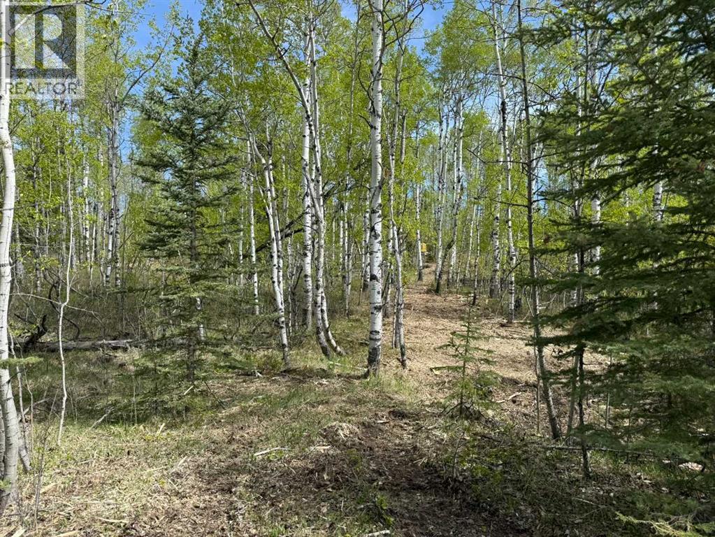 40, 29066 Range Road 52