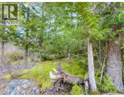 4728 Marjorie Road, Texada Island, BC V0N3K0 Photo 28