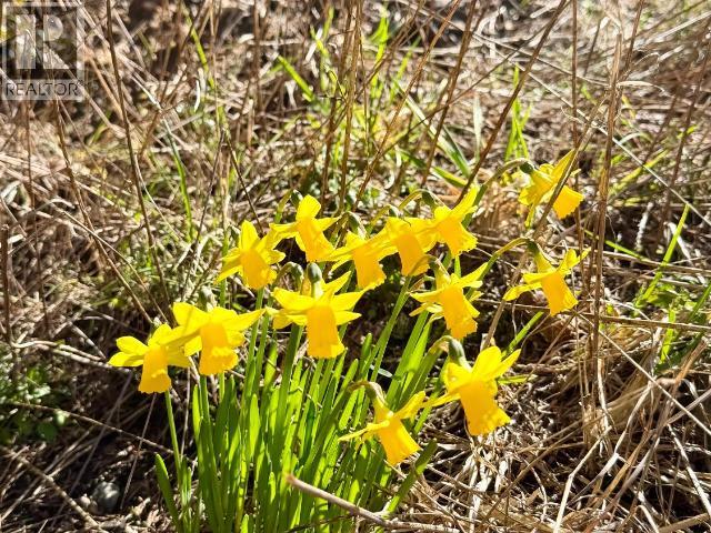 4728 MARJORIE ROAD, Texada Island