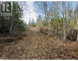 4728 Marjorie Road, Texada Island, BC V0N3K0 Photo 11