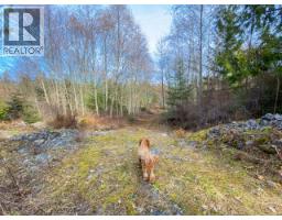 4728 Marjorie Road, Texada Island, BC V0N3K0 Photo 24