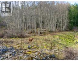 4728 Marjorie Road, Texada Island, BC V0N3K0 Photo 25