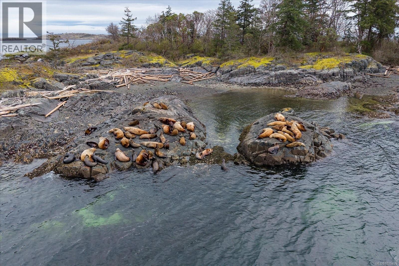 2450 AINSLEY PL - 71