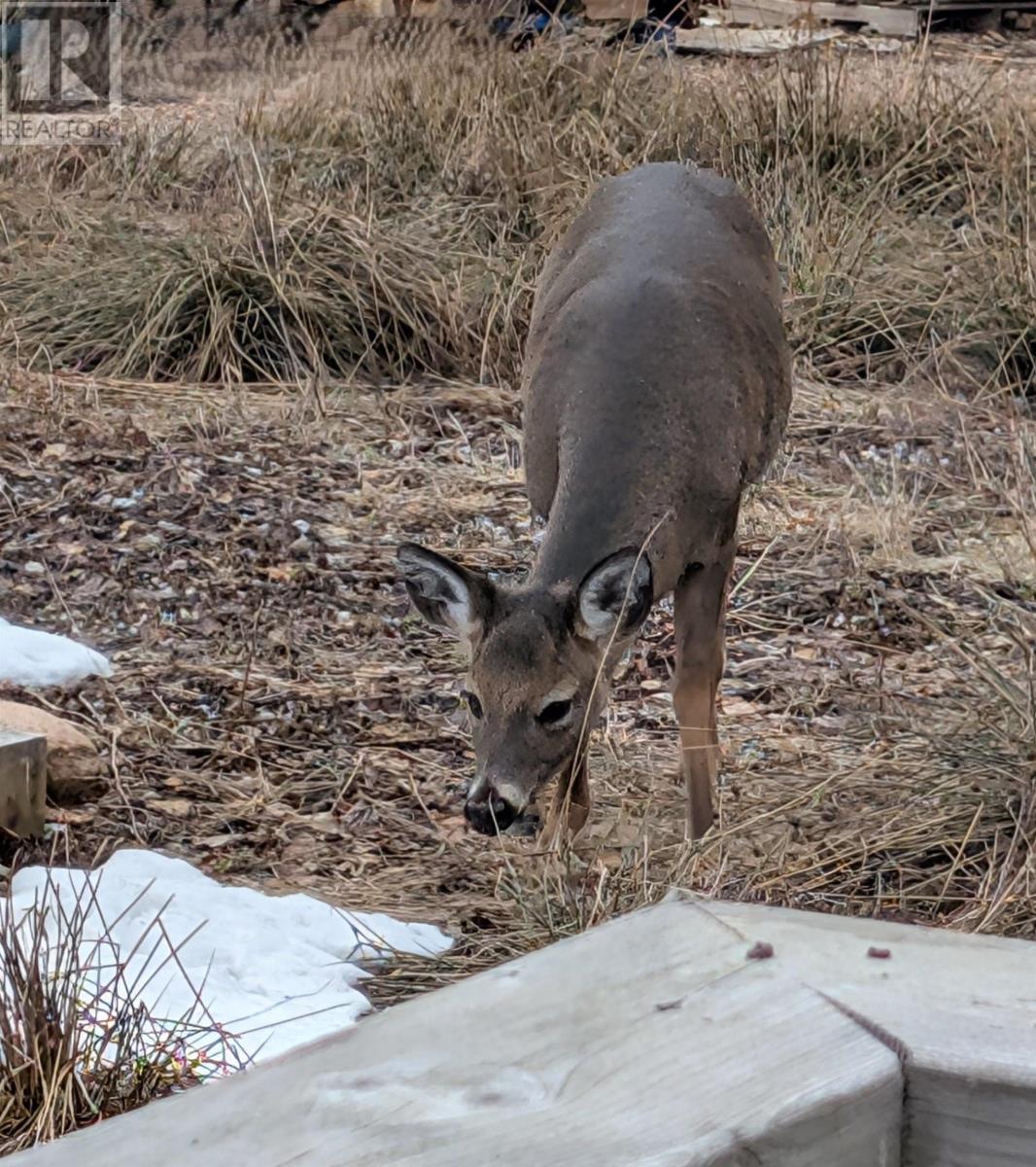 Property 9 of 35 of 58 Golden Shore Lane