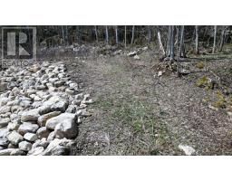 132-b Georgian Drive, Northern Bruce Peninsula, ON N0H1W0 Photo 15