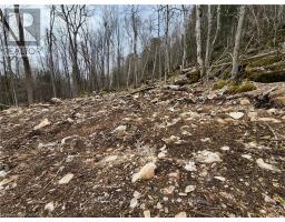 132-b Georgian Drive, Northern Bruce Peninsula, ON N0H1W0 Photo 17