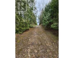 132-b Georgian Drive, Northern Bruce Peninsula, ON N0H1W0 Photo 21