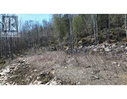 132-b Georgian Drive, Northern Bruce Peninsula, ON N0H1W0 Photo 6