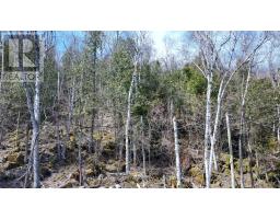 132-b Georgian Drive, Northern Bruce Peninsula, ON N0H1W0 Photo 9