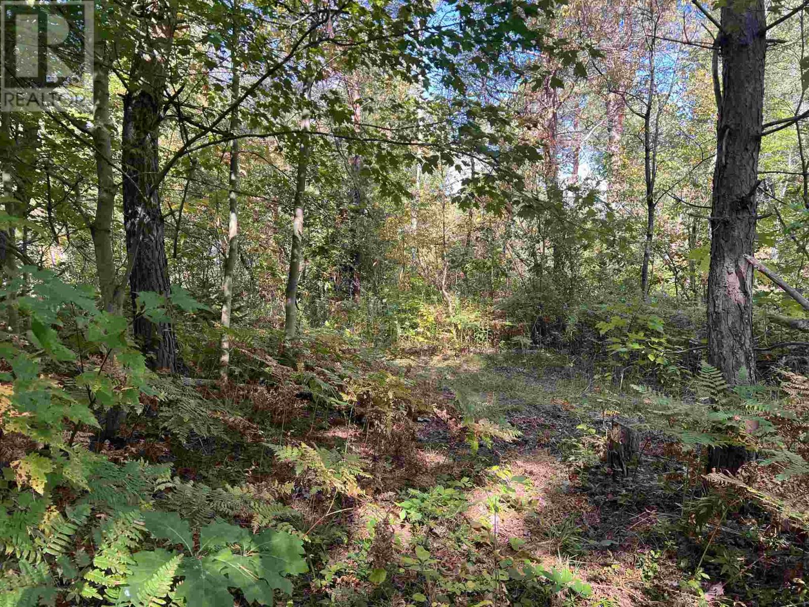 Lot 1 Glen ST, Iron Bridge, Ontario, P0R1H0 — Photo 17