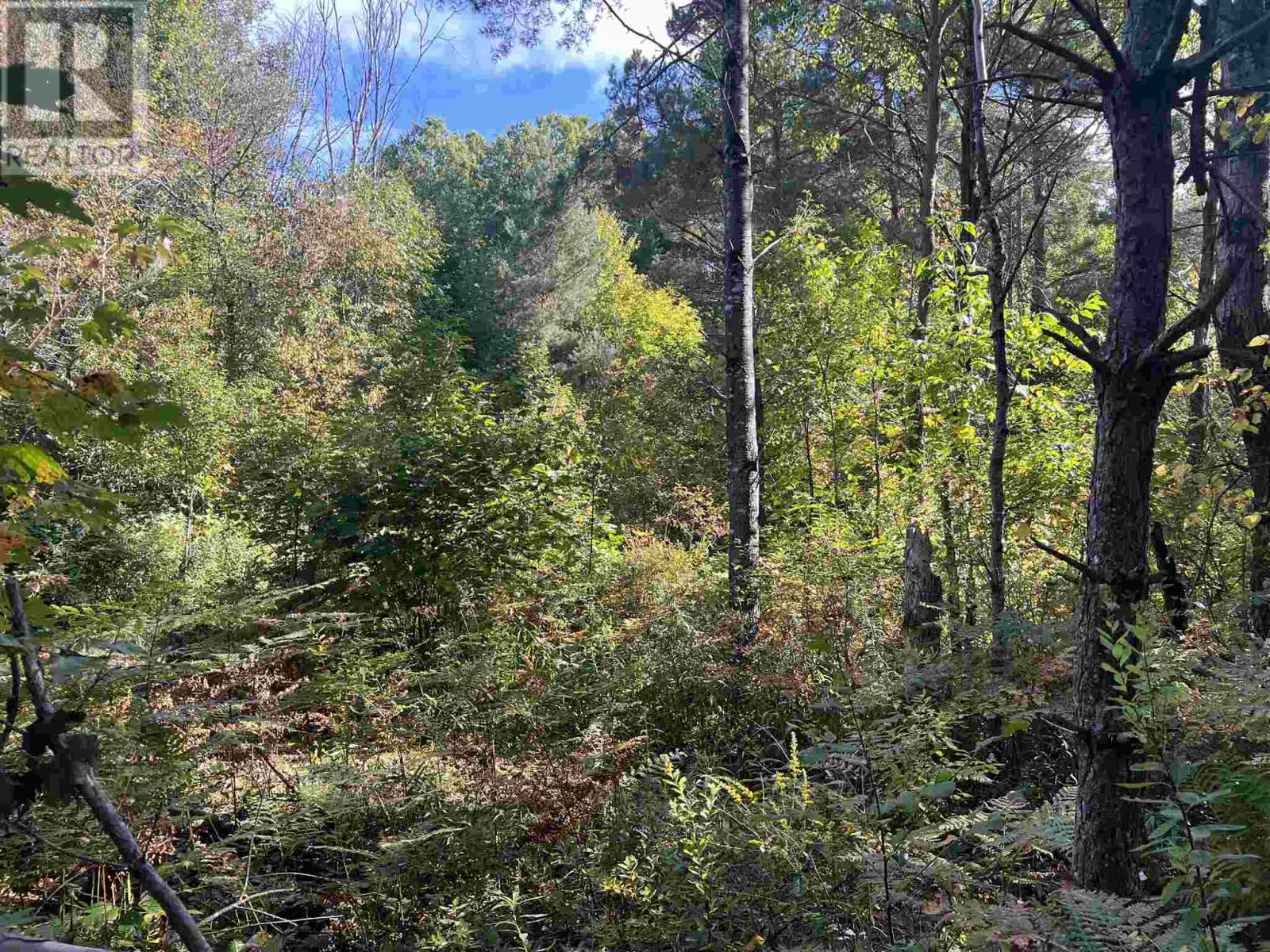 Lot 1 Glen ST, Iron Bridge, Ontario, P0R1H0 — Photo 3